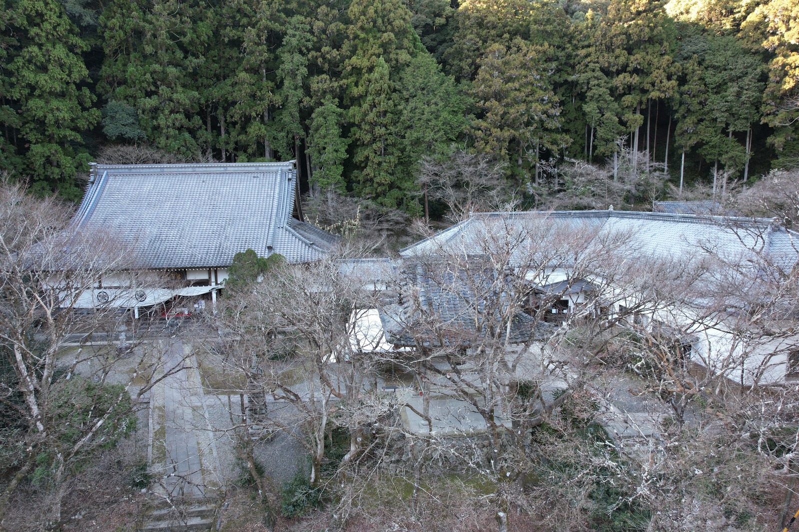 大洞院（森町・森の石松）